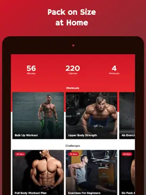 Bulk Up at Home - Build Muscle android App screenshot 10