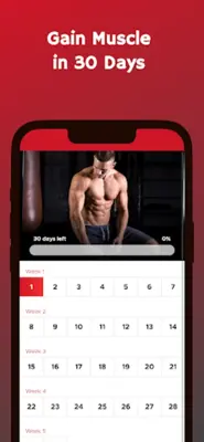 Bulk Up at Home - Build Muscle android App screenshot 13