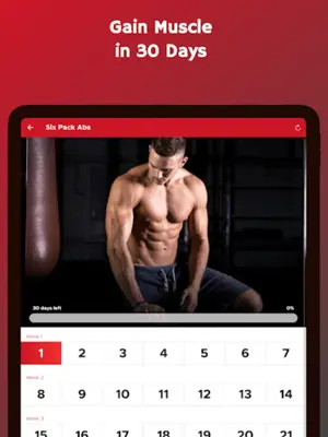 Bulk Up at Home - Build Muscle android App screenshot 2