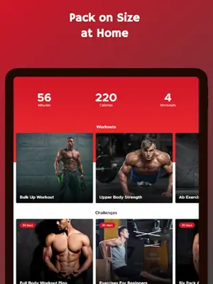 Bulk Up at Home - Build Muscle android App screenshot 4