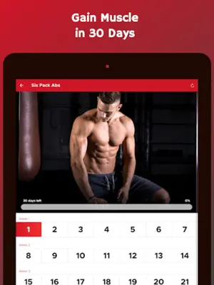 Bulk Up at Home - Build Muscle android App screenshot 8